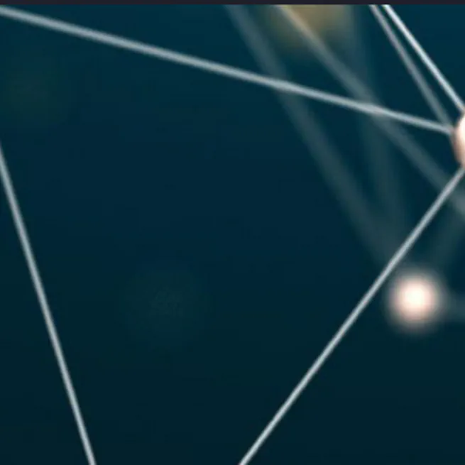 THE COMPLEX DAYS 2025